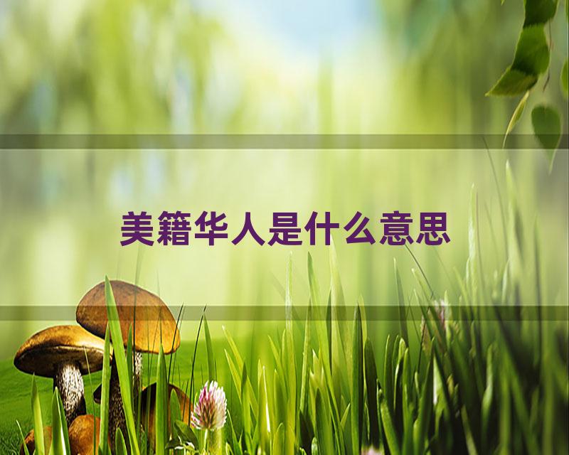 美籍华人是什么意思