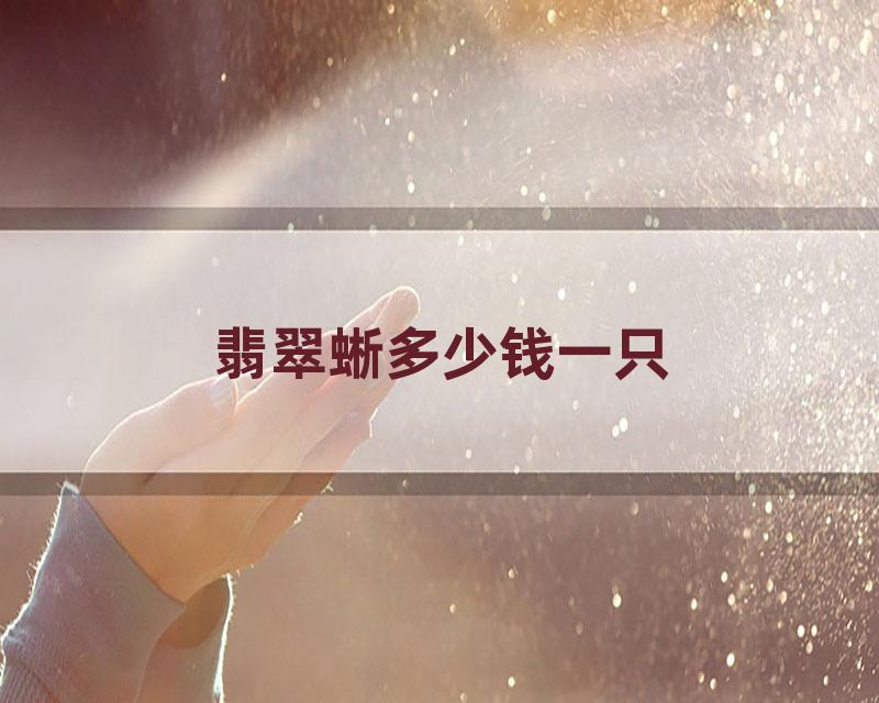 翡翠蜥多少钱一只