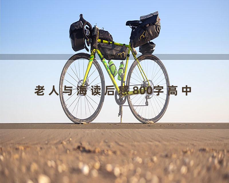 老人与海读后感800字高中