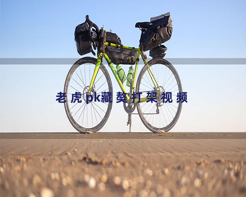 老虎pk藏獒打架视频