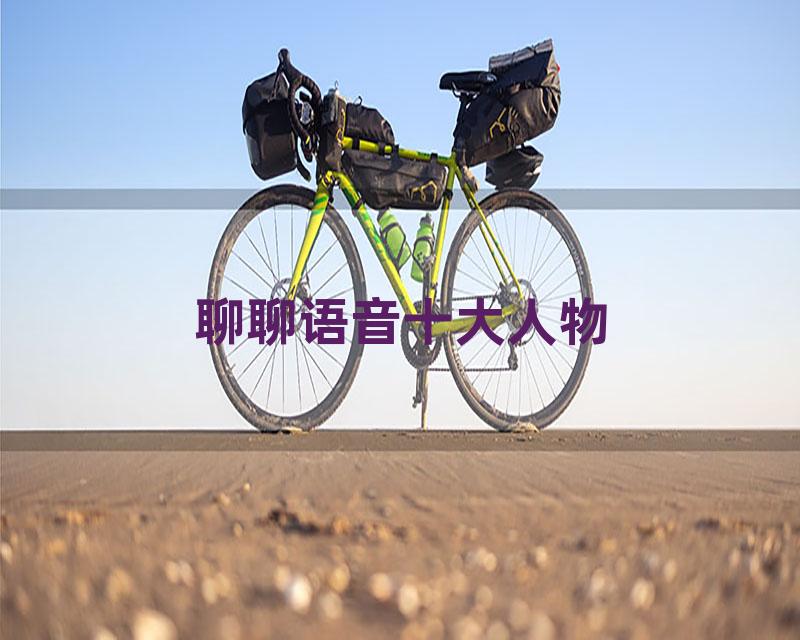 聊聊语音十大人物