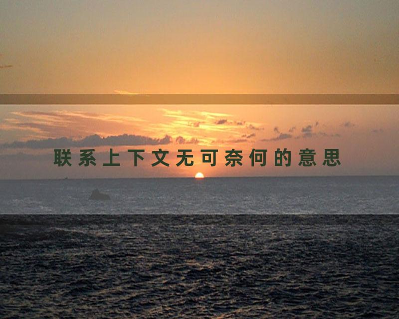 联系上下文无可奈何的意思