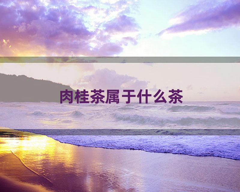 肉桂茶属于什么茶