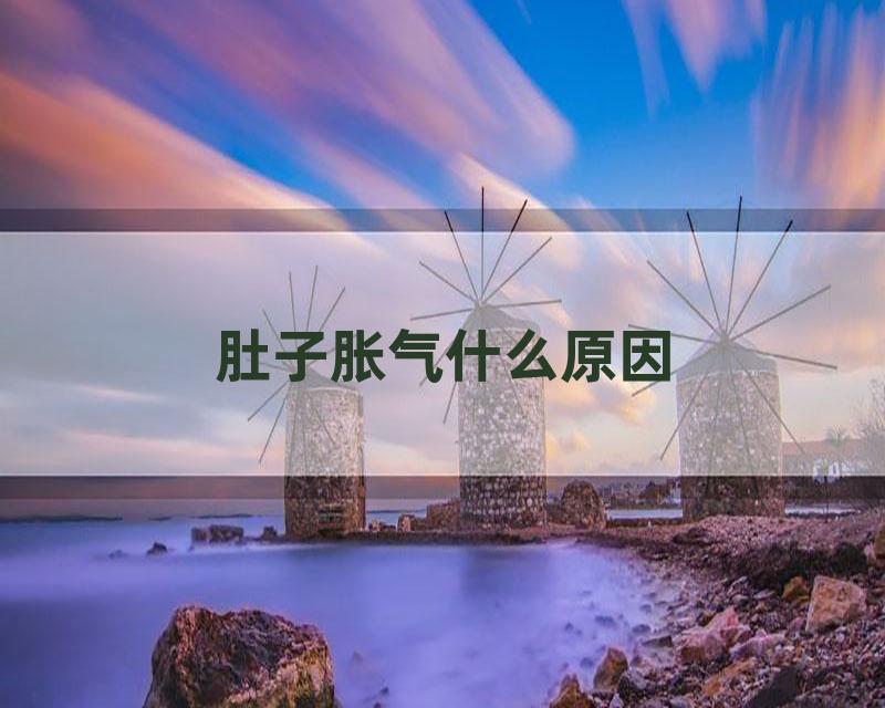 肚子胀气什么原因