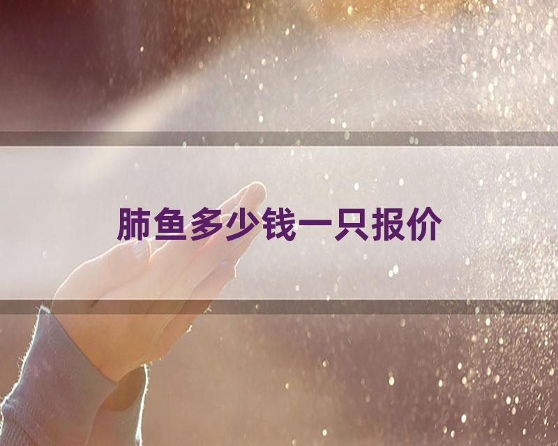 肺鱼多少钱一只报价
