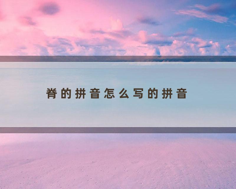 脊的拼音怎么写的拼音