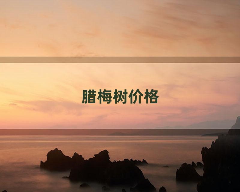 腊梅树价格