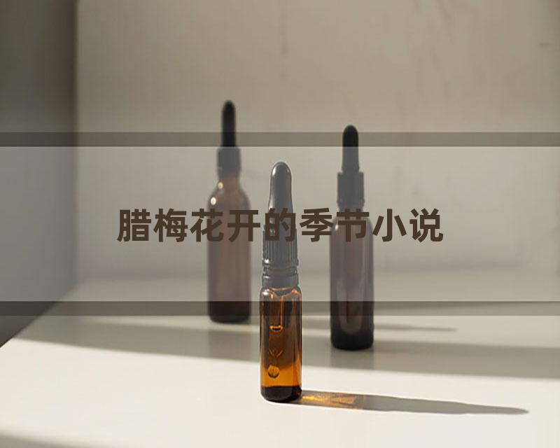 腊梅花开的季节小说