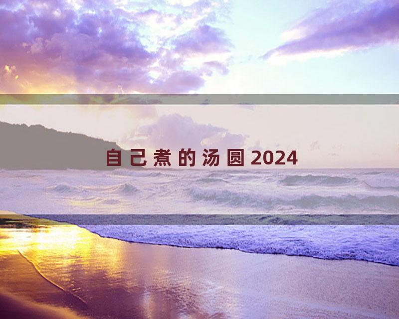 自己煮的汤圆2024