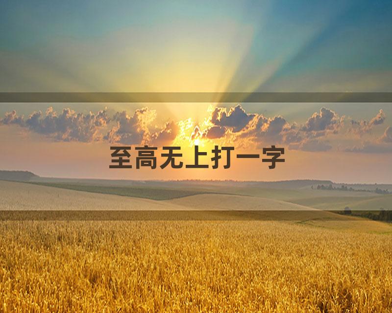至高无上打一字