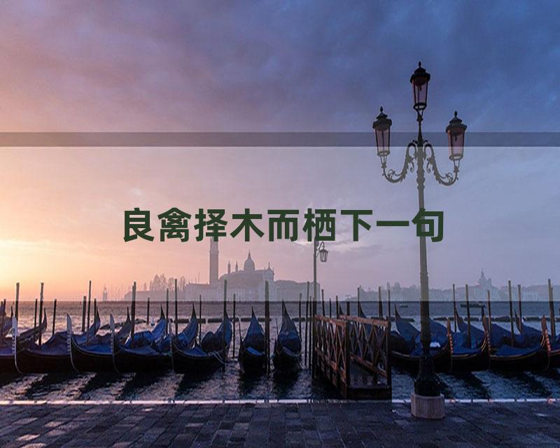 良禽择木而栖下一句