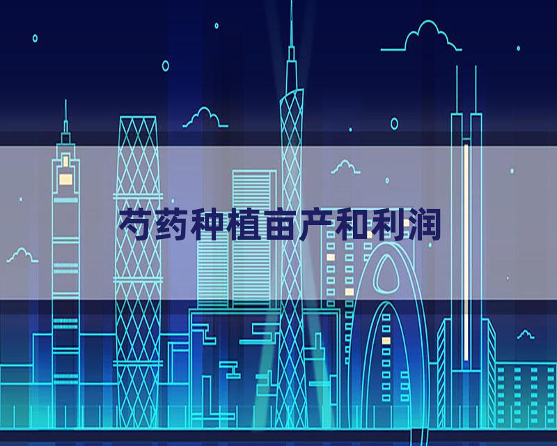 芍药种植亩产和利润