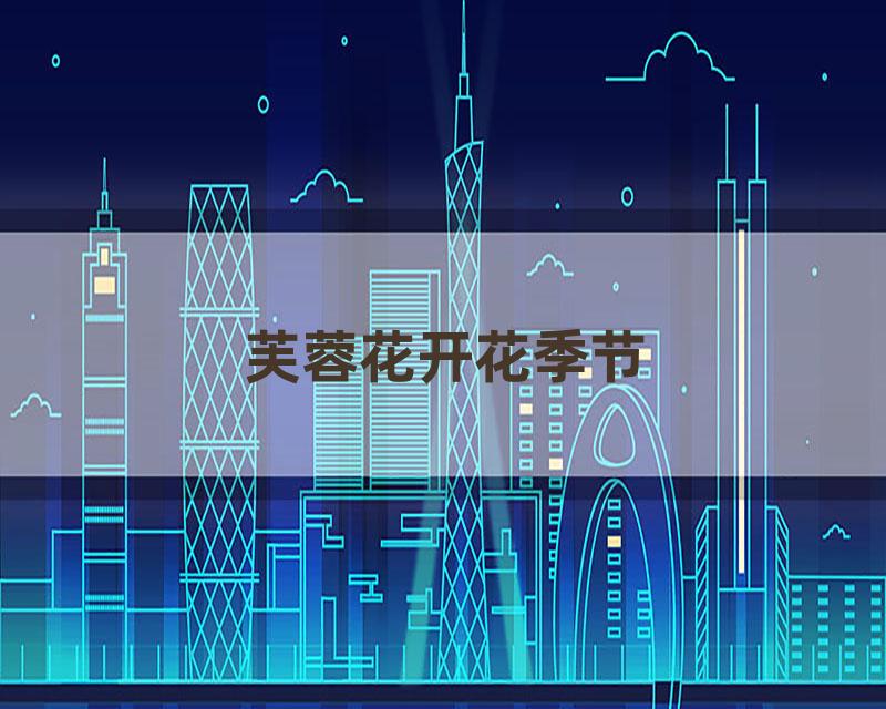 芙蓉花开花季节