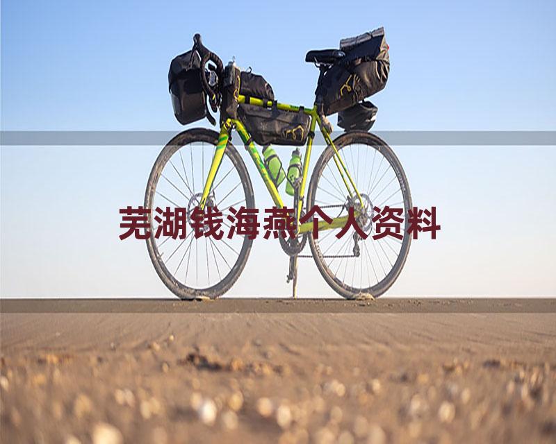 芜湖钱海燕个人资料