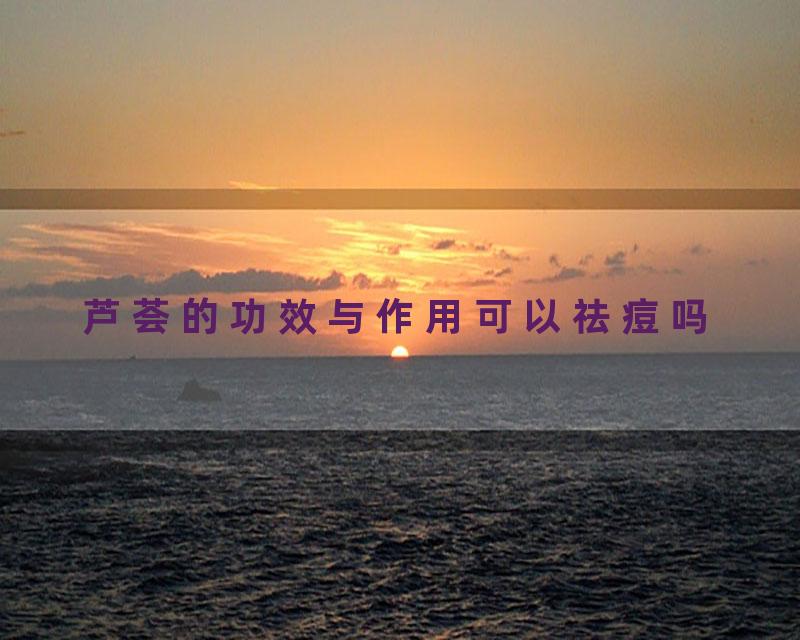 芦荟的功效与作用可以祛痘吗