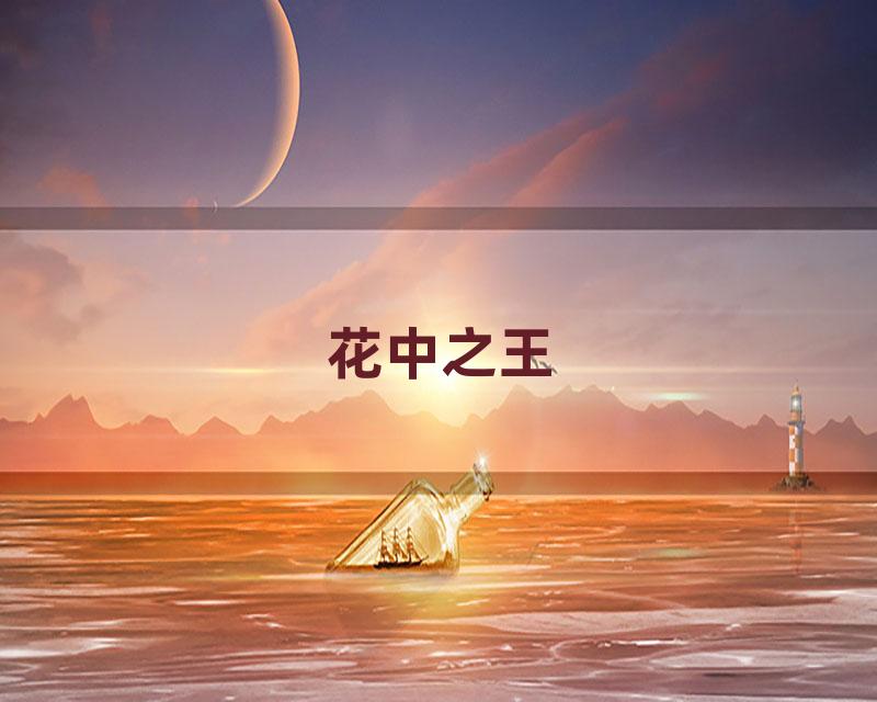 花中之王
