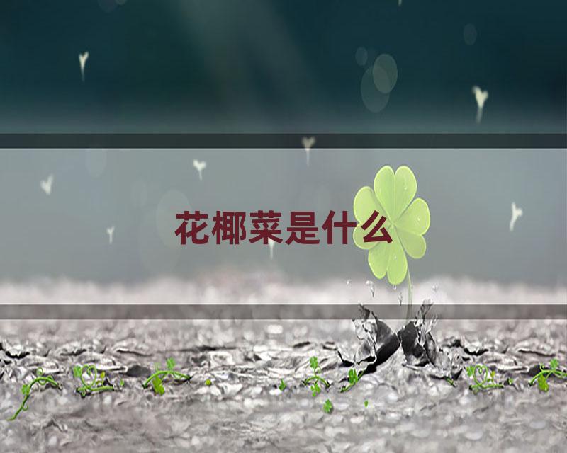 花椰菜是什么