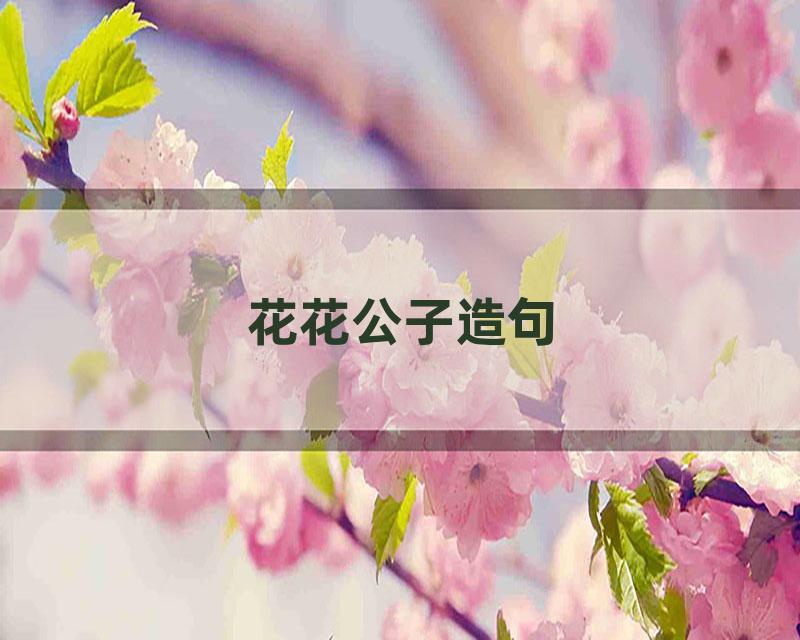 花花公子造句