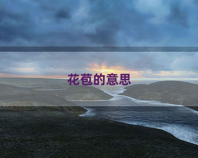 花苞的意思