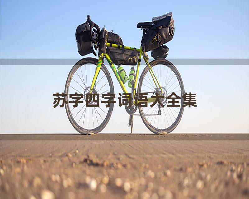 苏字四字词语大全集