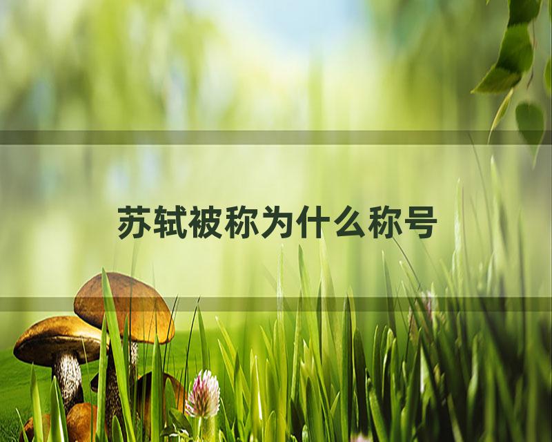 苏轼被称为什么称号