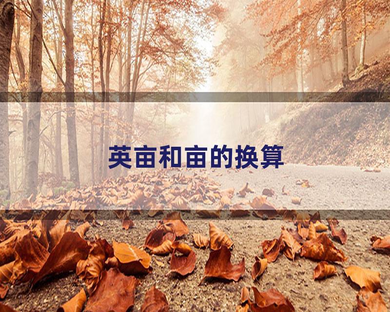 英亩和亩的换算