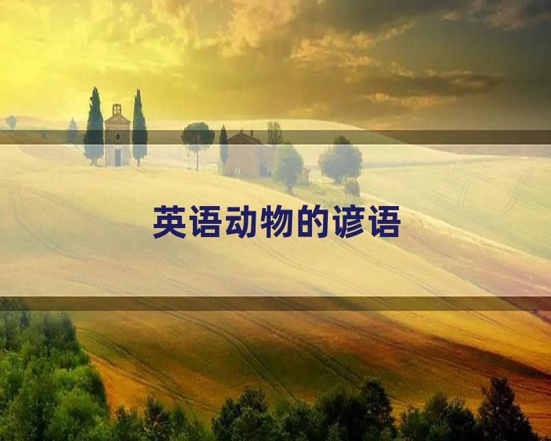 英语动物的谚语