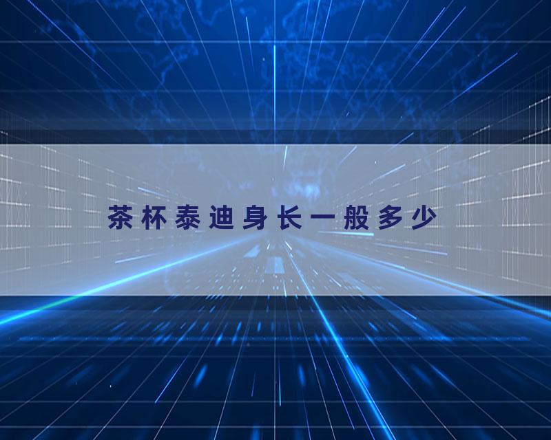 茶杯泰迪身长一般多少