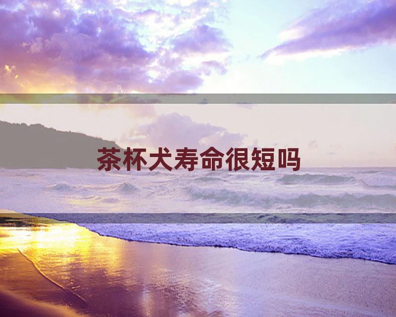 茶杯犬寿命很短吗