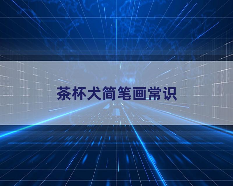 茶杯犬简笔画常识