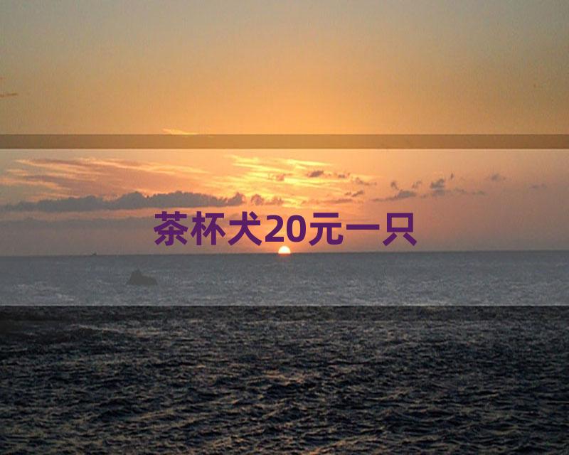 茶杯犬20元一只