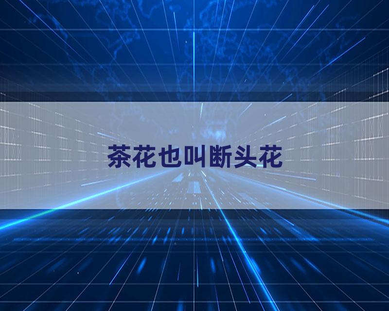 茶花也叫断头花