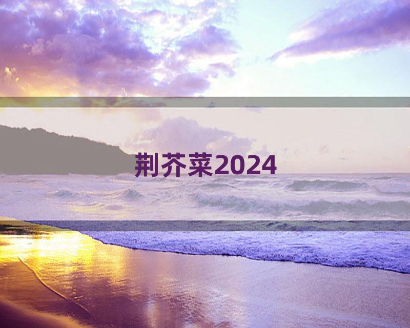 荆芥菜2024