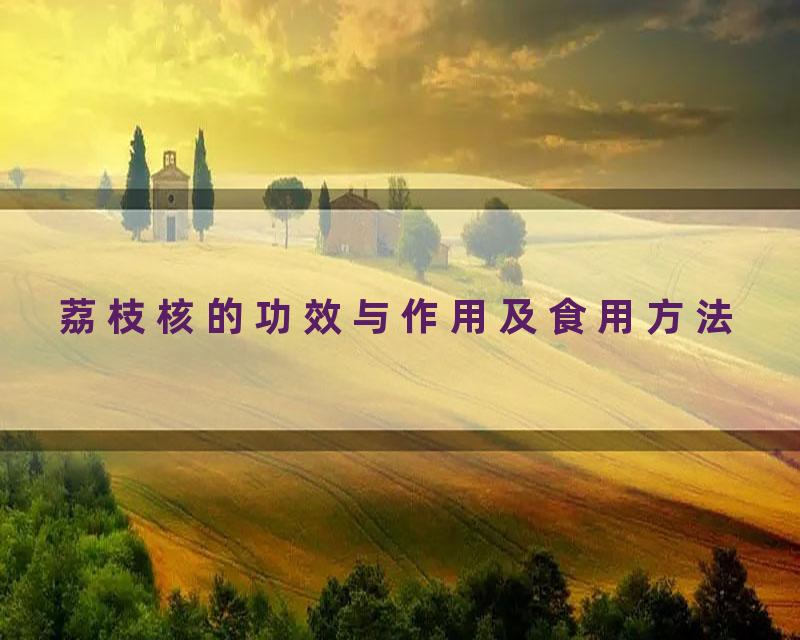 荔枝核的功效与作用及食用方法