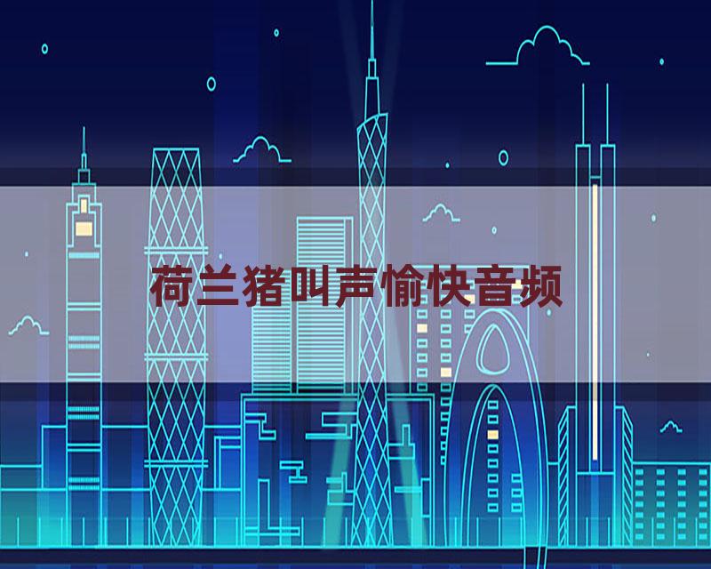 荷兰猪叫声愉快音频