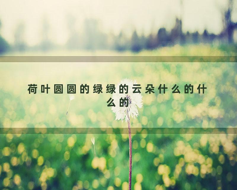 荷叶圆圆的绿绿的云朵什么的什么的