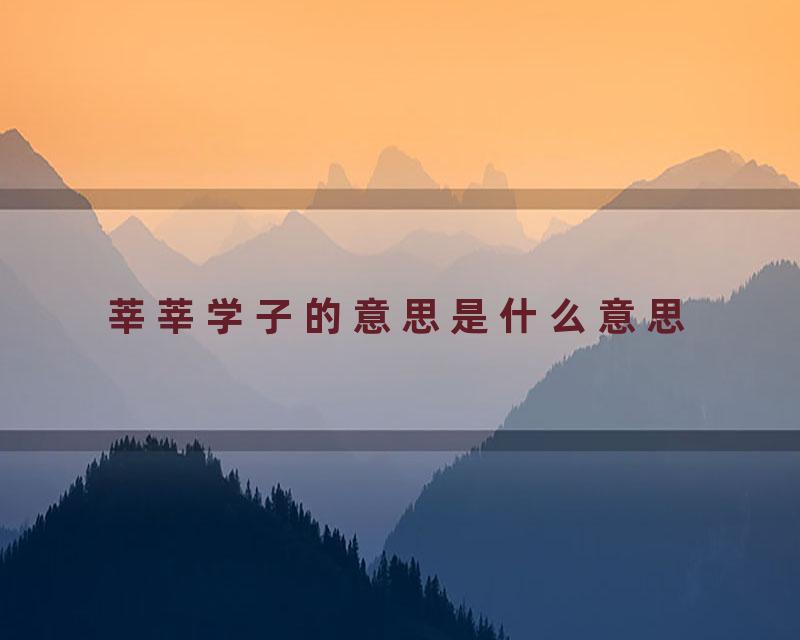 莘莘学子的意思是什么意思