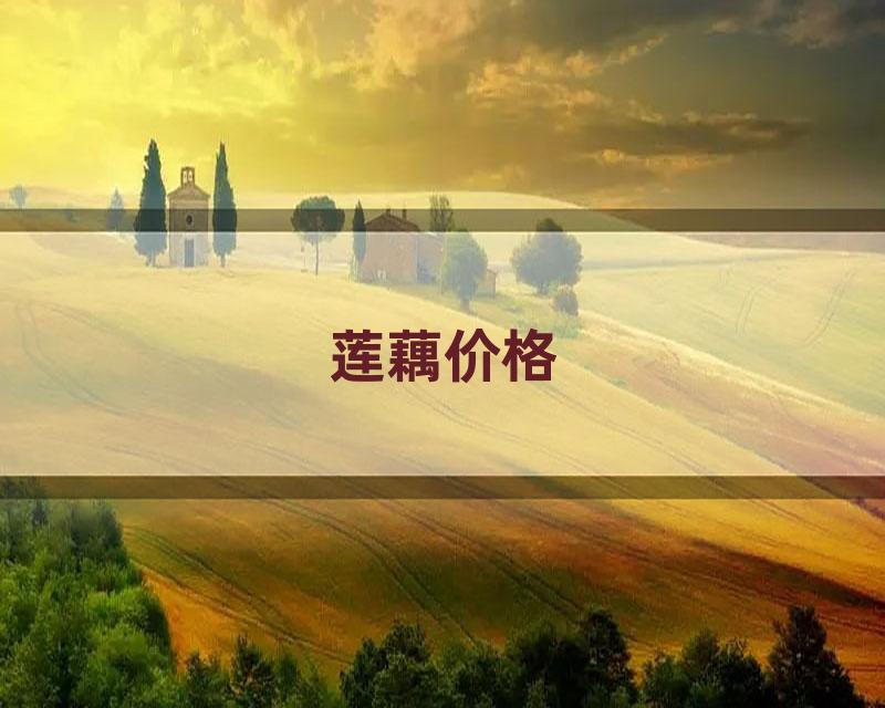 莲藕价格