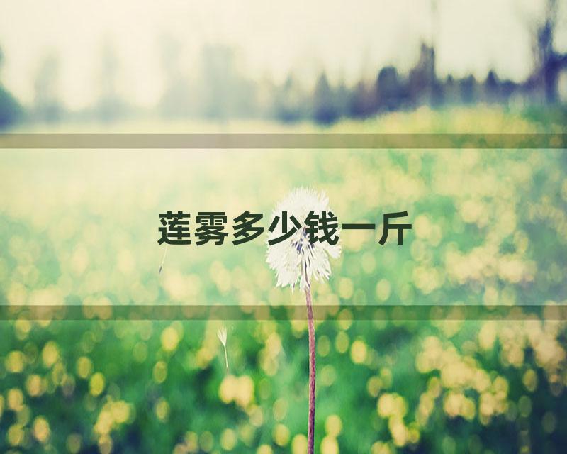 莲雾多少钱一斤