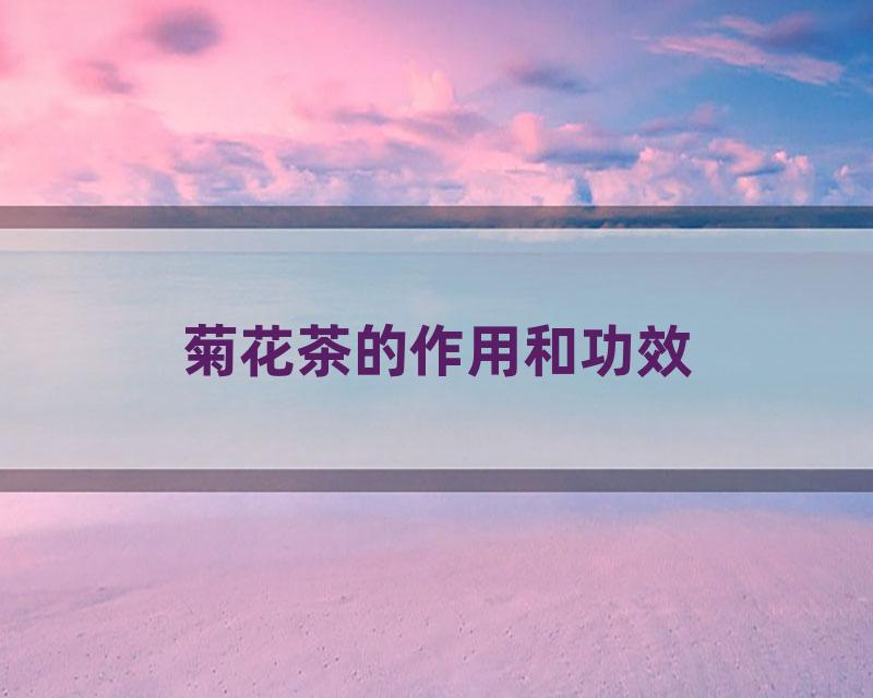 菊花茶的作用和功效