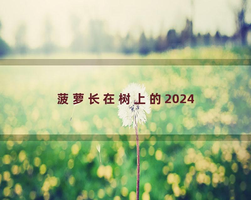 菠萝长在树上的2024