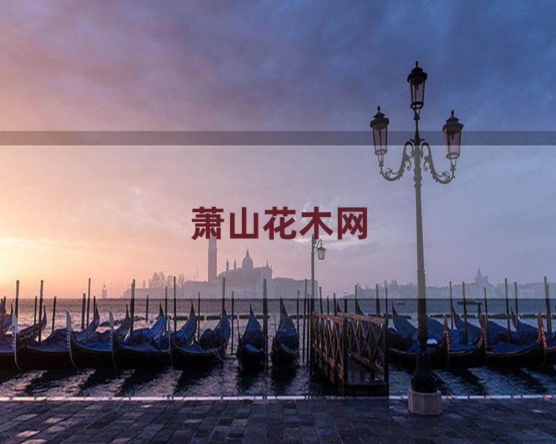 萧山花木网