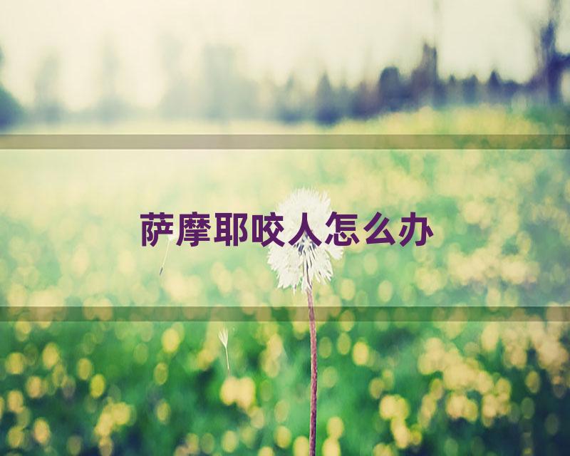 萨摩耶咬人怎么办