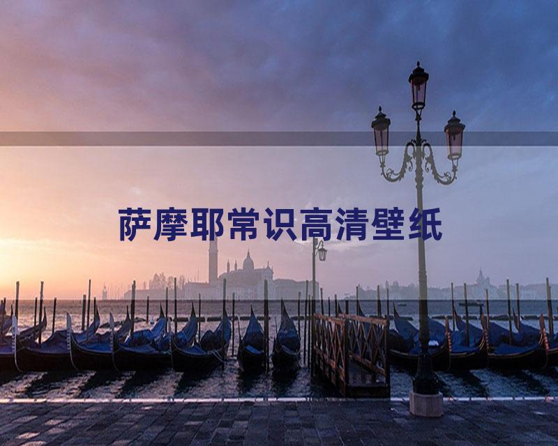 萨摩耶常识高清壁纸