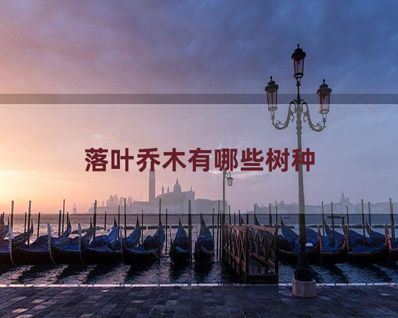 落叶乔木有哪些树种