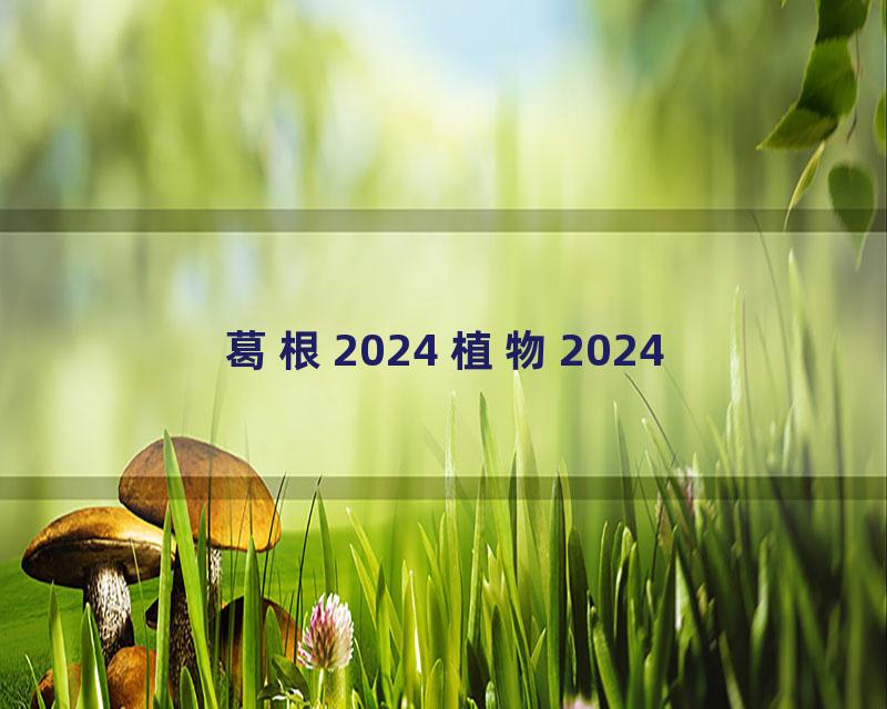 葛根2024 植物2024
