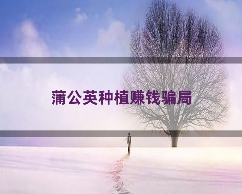 蒲公英种植赚钱骗局