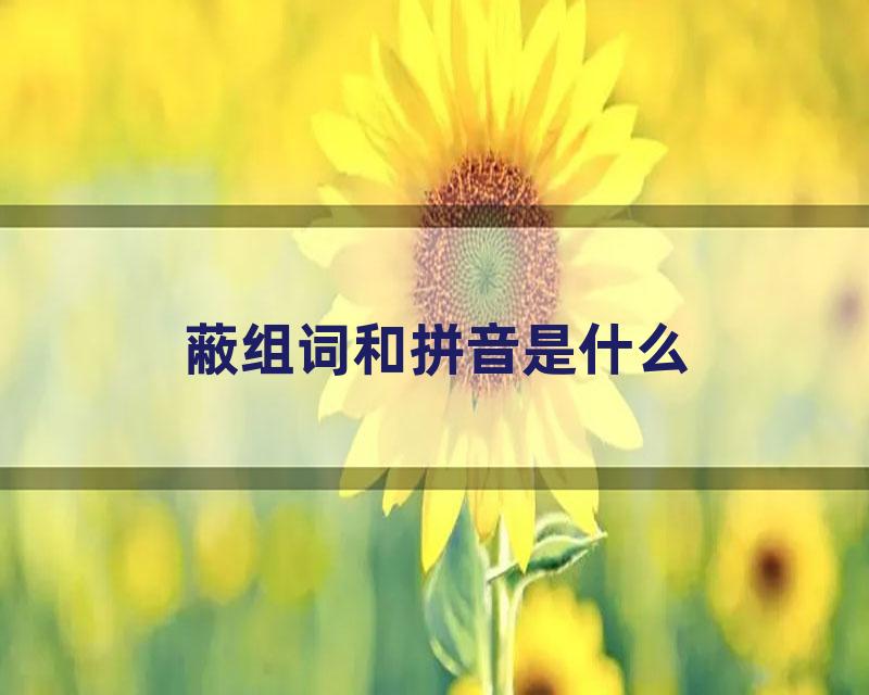 蔽组词和拼音是什么