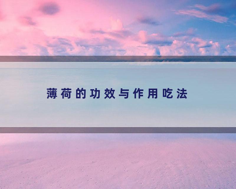 薄荷的功效与作用吃法