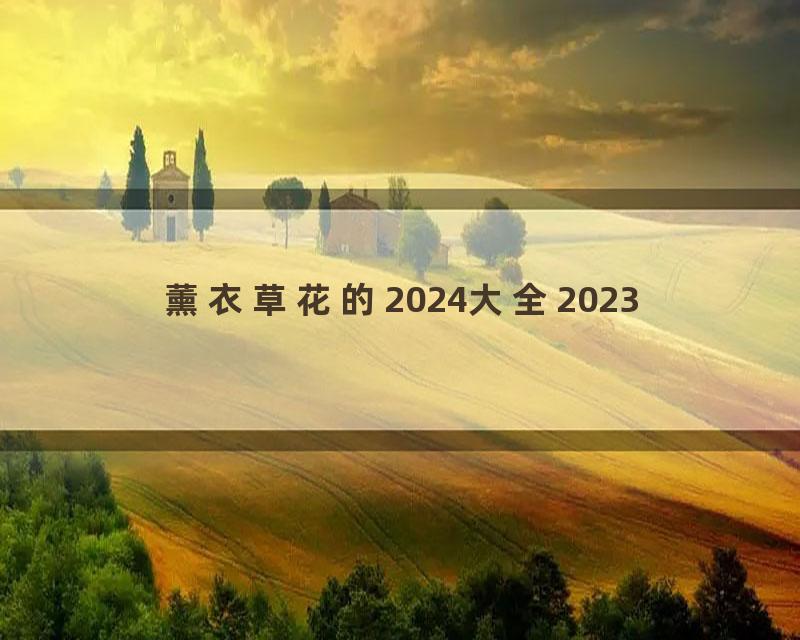 薰衣草花的2024大全2023